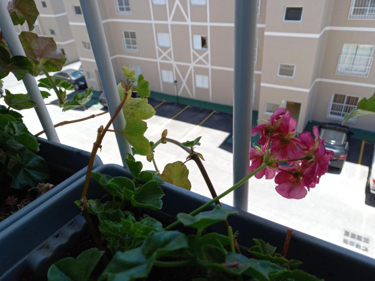 Campos do Jordão Apto Nas Montanhas מראה חיצוני תמונה